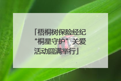 梧桐树保险经纪“桐星守护”关爱活动圆满举行