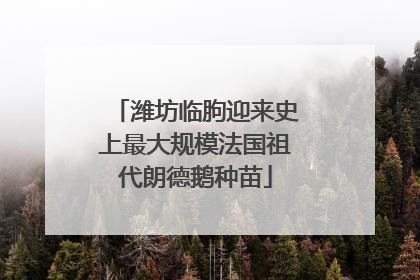 潍坊临朐迎来史上最大规模法国祖代朗德鹅种苗