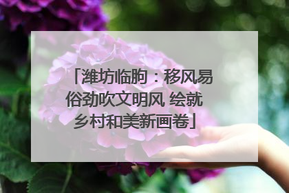 潍坊临朐：移风易俗劲吹文明风 绘就乡村和美新画卷