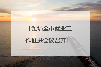 潍坊全市就业工作推进会议召开