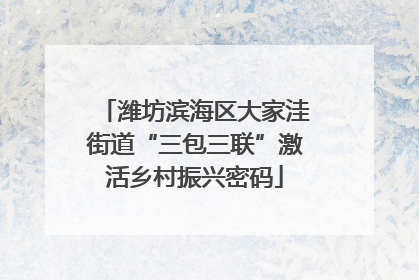 潍坊滨海区大家洼街道“三包三联”激活乡村振兴密码