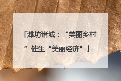 潍坊诸城：“美丽乡村”催生“美丽经济”