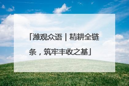潍观众语｜精耕全链条，筑牢丰收之基