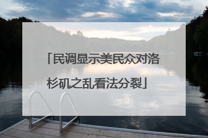 民调显示美民众对洛杉矶之乱看法分裂