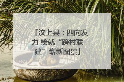 汶上县：四向发力 绘就“跨村联建”崭新图景
