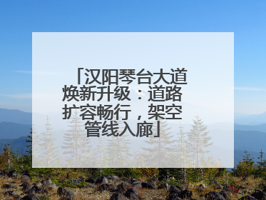 汉阳琴台大道焕新升级：道路扩容畅行，架空管线入廊