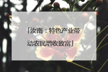 汝南：特色产业带动农民增收致富