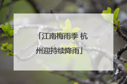江南梅雨季 杭州迎持续降雨