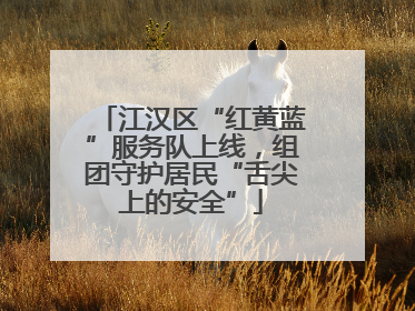 江汉区“红黄蓝”服务队上线，组团守护居民“舌尖上的安全”