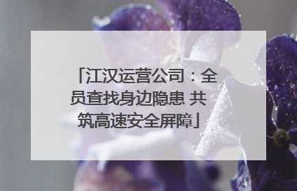 江汉运营公司：全员查找身边隐患 共筑高速安全屏障