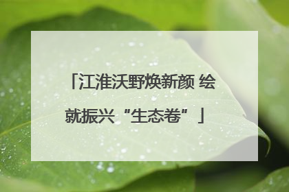 江淮沃野焕新颜 绘就振兴“生态卷”