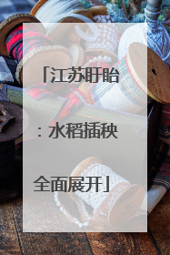 江苏盱眙：水稻插秧全面展开
