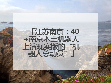 江苏南京：40+南京本土机器人上演现实版的“机器人总动员”