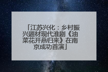 江苏兴化：乡村振兴题材现代淮剧《油菜花开燕归来》在南京成功首演