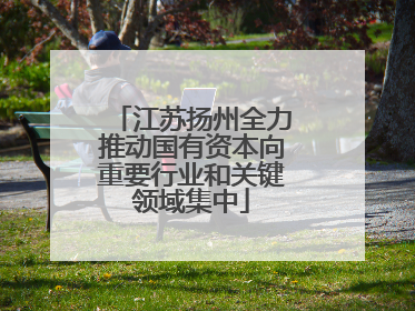 江苏扬州全力推动国有资本向重要行业和关键领域集中