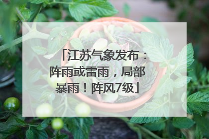 江苏气象发布：阵雨或雷雨，局部暴雨！阵风7级
