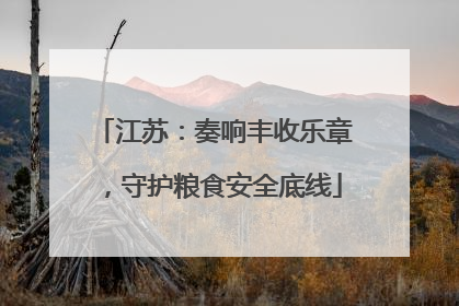 江苏：奏响丰收乐章，守护粮食安全底线
