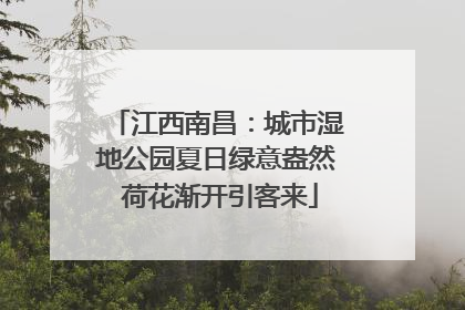 江西南昌：城市湿地公园夏日绿意盎然 荷花渐开引客来