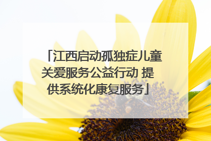 江西启动孤独症儿童关爱服务公益行动 提供系统化康复服务
