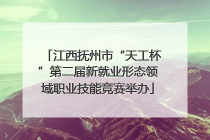 江西抚州市“天工杯”第二届新就业形态领域职业技能竞赛举办
