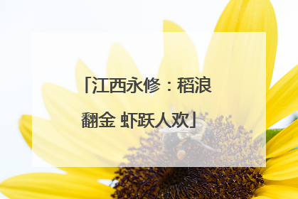 江西永修：稻浪翻金 虾跃人欢