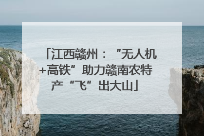 江西赣州：“无人机+高铁”助力赣南农特产“飞”出大山
