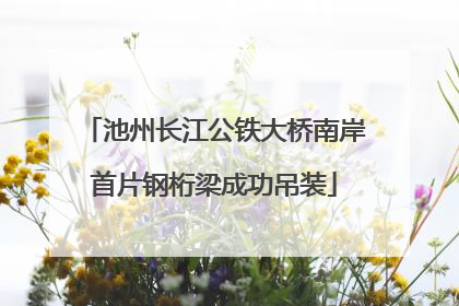 池州长江公铁大桥南岸首片钢桁梁成功吊装