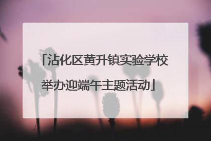 沾化区黄升镇实验学校举办迎端午主题活动