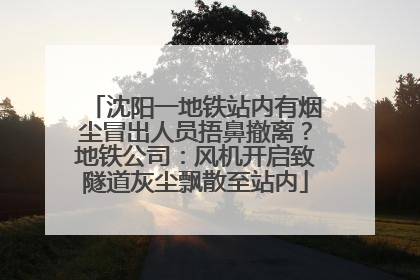 沈阳一地铁站内有烟尘冒出人员捂鼻撤离？地铁公司：风机开启致隧道灰尘飘散至站内