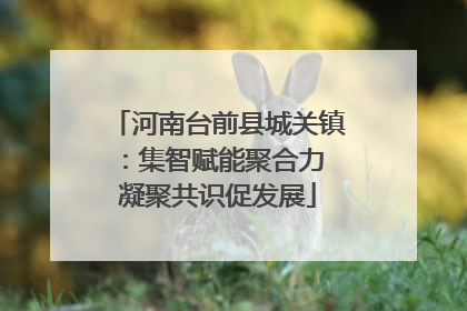 河南台前县城关镇：集智赋能聚合力 凝聚共识促发展