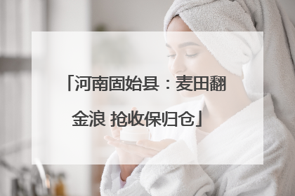 河南固始县：麦田翻金浪 抢收保归仓