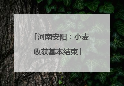 河南安阳：小麦收获基本结束