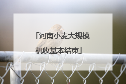 河南小麦大规模机收基本结束