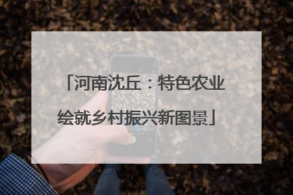 河南沈丘：特色农业绘就乡村振兴新图景