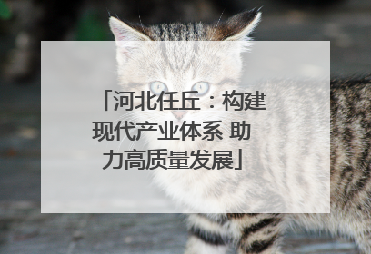 河北任丘：构建现代产业体系 助力高质量发展