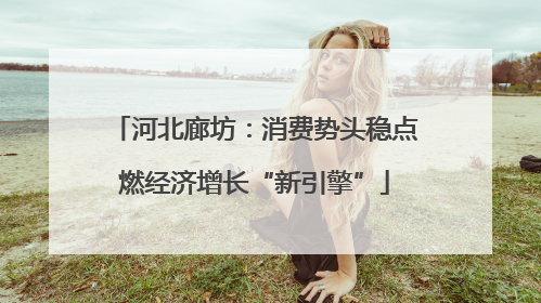 河北廊坊：消费势头稳点燃经济增长“新引擎”