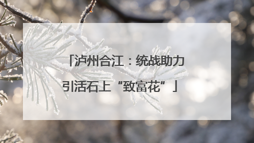 泸州合江：统战助力引活石上“致富花”