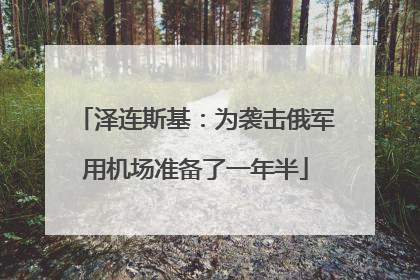 泽连斯基：为袭击俄军用机场准备了一年半