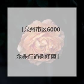 泉州市区6000余株行道树修剪