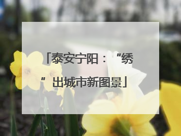 泰安宁阳:“绣”出城市新图景