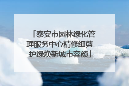 泰安市园林绿化管理服务中心精修细剪护绿焕新城市容颜