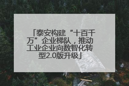 泰安构建“十百千万”企业梯队，推动工业企业向数智化转型2.0版升级
