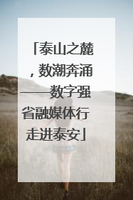 泰山之麓，数潮奔涌——数字强省融媒体行走进泰安