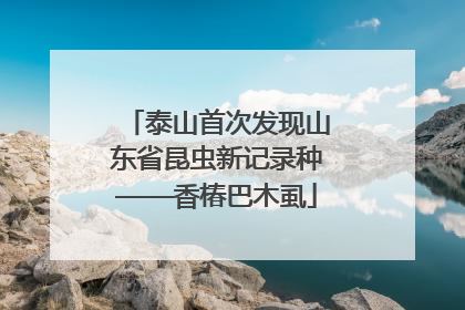 泰山首次发现山东省昆虫新记录种——香椿巴木虱