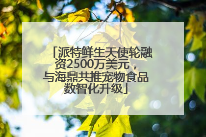 派特鲜生天使轮融资2500万美元，与海鼎共推宠物食品数智化升级