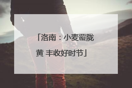 洛南：小麦覆陇黄 丰收好时节