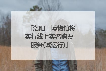 洛阳一博物馆将实行线上实名购票服务(试运行)