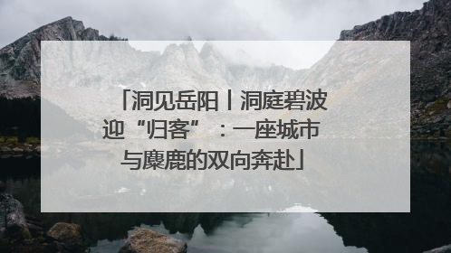 洞见岳阳丨洞庭碧波迎“归客”：一座城市与麋鹿的双向奔赴