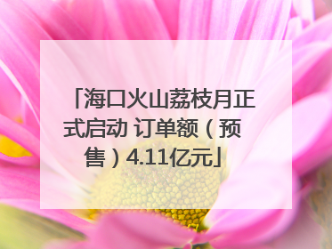海口火山荔枝月正式启动 订单额（预售）4.11亿元