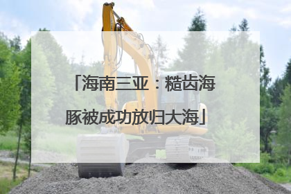 海南三亚：糙齿海豚被成功放归大海